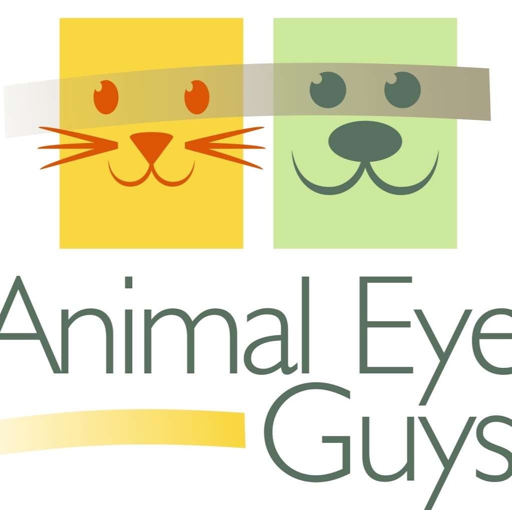 Animal Eye Guys - Coral Springs | 2160 N Univeristy Drive, Coral Springs, FL 33071 | Phone: (954) 990-7743