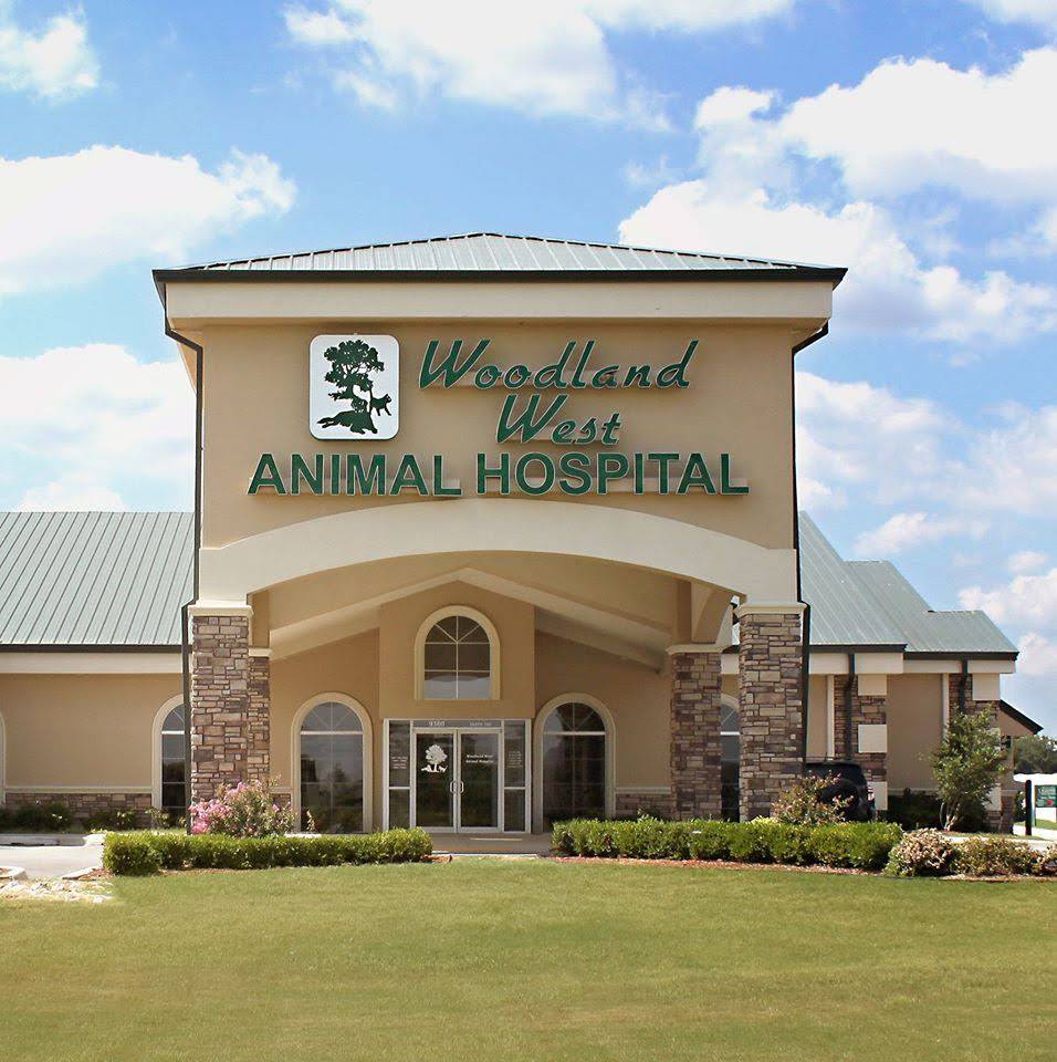 Woodland West Animal Hospital | 9360 S Union Ave, Tulsa, OK 74132, USA | Phone: (918) 299-1208
