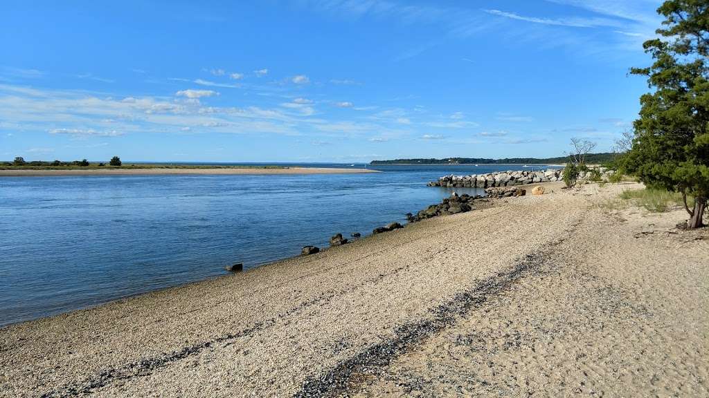 West Meadow Wetlands Reserve | 44 W Meadow Ln, Stony Brook, NY 11790, USA