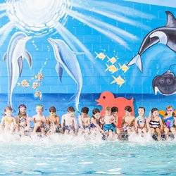 Goldfish Swim School - Charlotte | 13403 S Ridge Dr, Charlotte, NC 28273, USA | Phone: (704) 946-8144