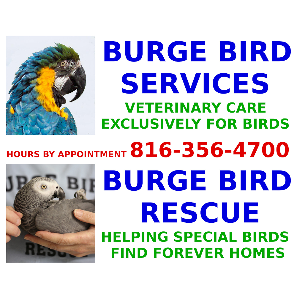 Burge Bird Services | 13833 US-71, Grandview, MO 64030 | Phone: (816) 356-4700