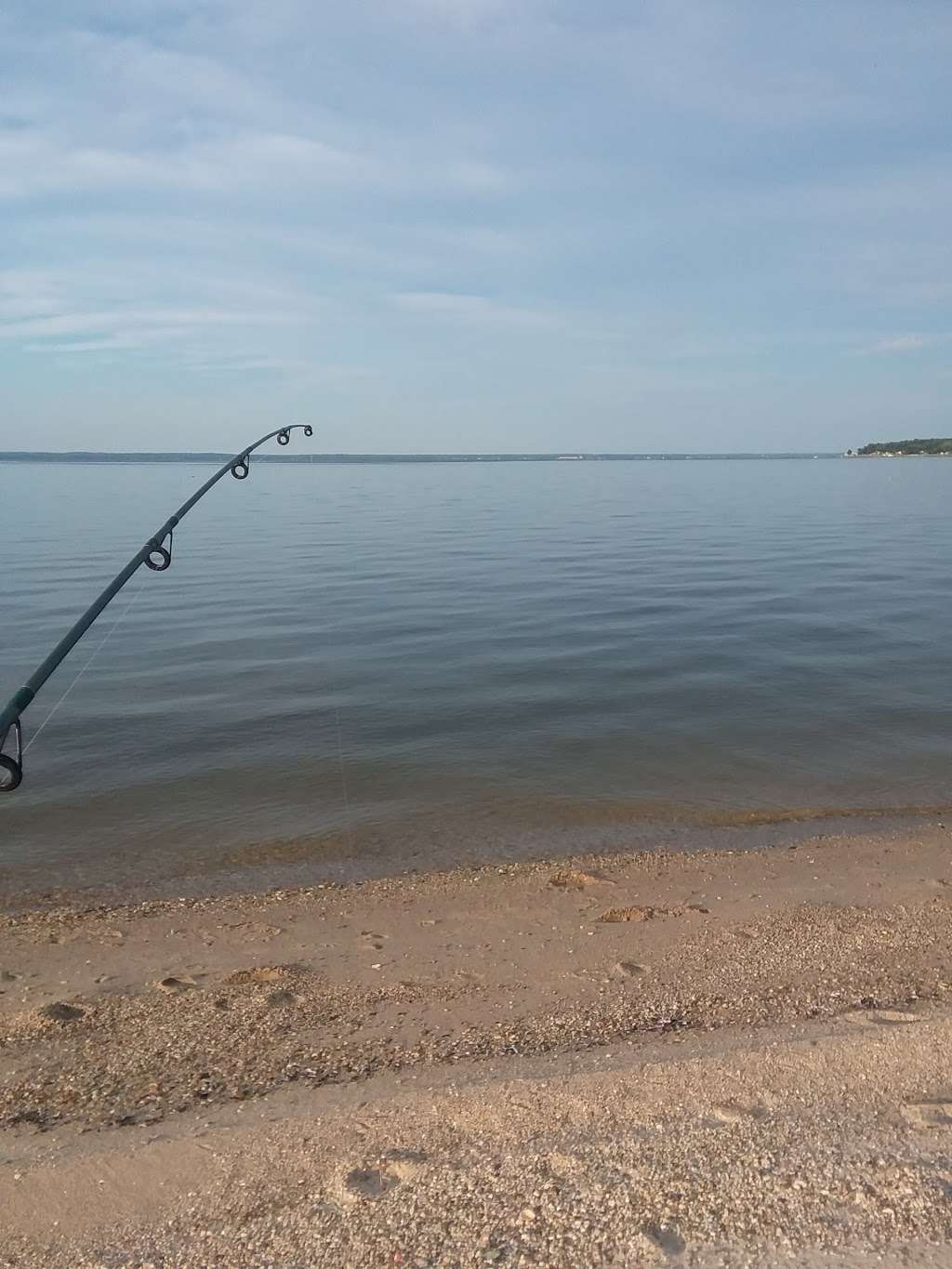 Cabin Point Beach | Montross, VA 22520, USA