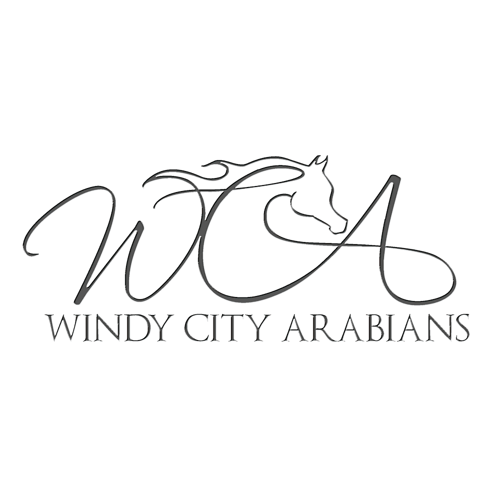 Windy City Arabians Training & Learning Center | 14433 Lemont Rd, Homer Glen, IL 60491, USA | Phone: (708) 752-1643