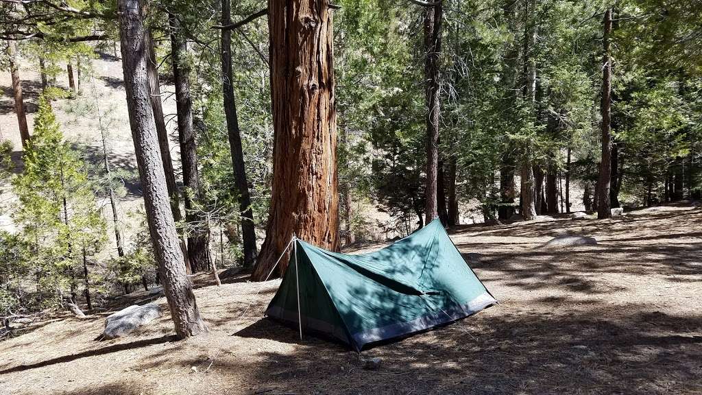 Cooper Canyon Trail Camp | Pearblossom, CA 93553, USA | Phone: (626) 574-1613