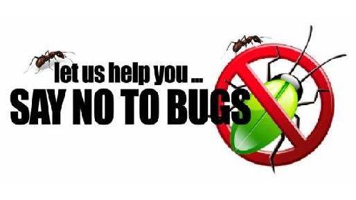 Brinks Pest Control | Hillside, NJ 07205, USA | Phone: (908) 964-6534