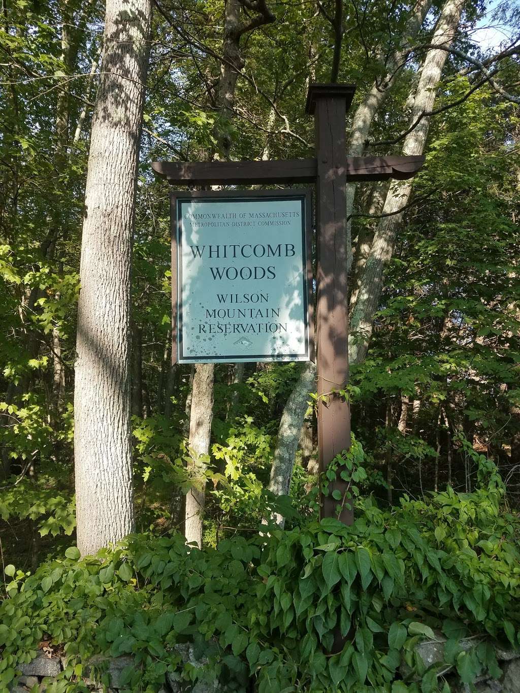 Whitecomb Woods | Dedham, MA 02026, USA