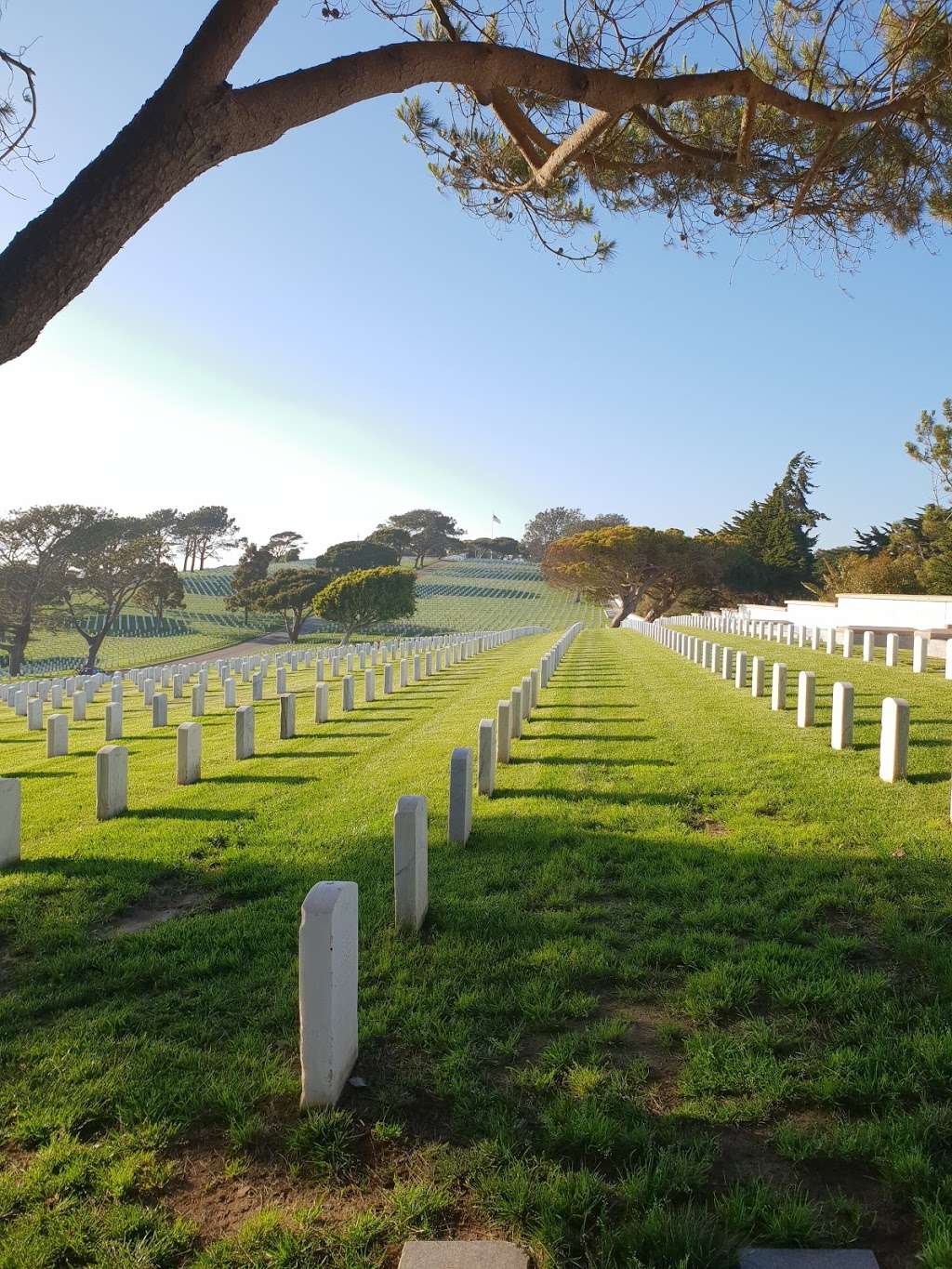 Fort Rosecrans National Cemetery | 1700 Cabrillo Memorial Dr, San Diego, CA 92106, USA | Phone: (619) 553-2084