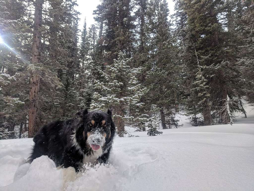 Brainard Lake Winter Lot | Ward, CO 80481, USA