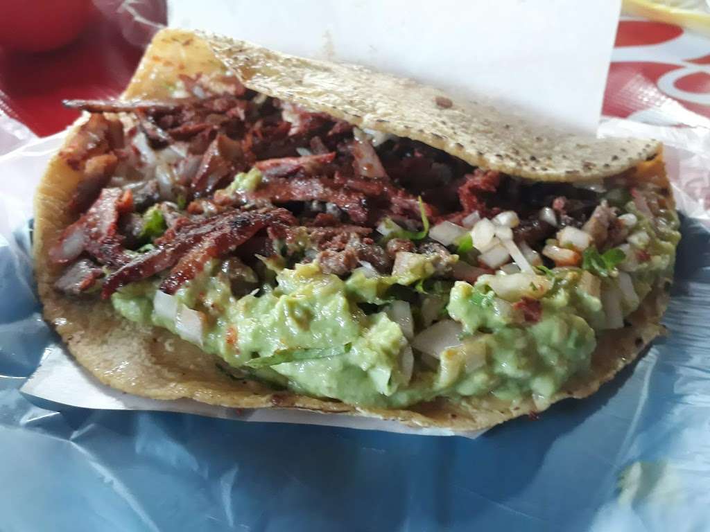 Taqueria Elvia | Av. Transpeninsular 2D, Los Altos, 22536 Tijuana, B.C., Mexico