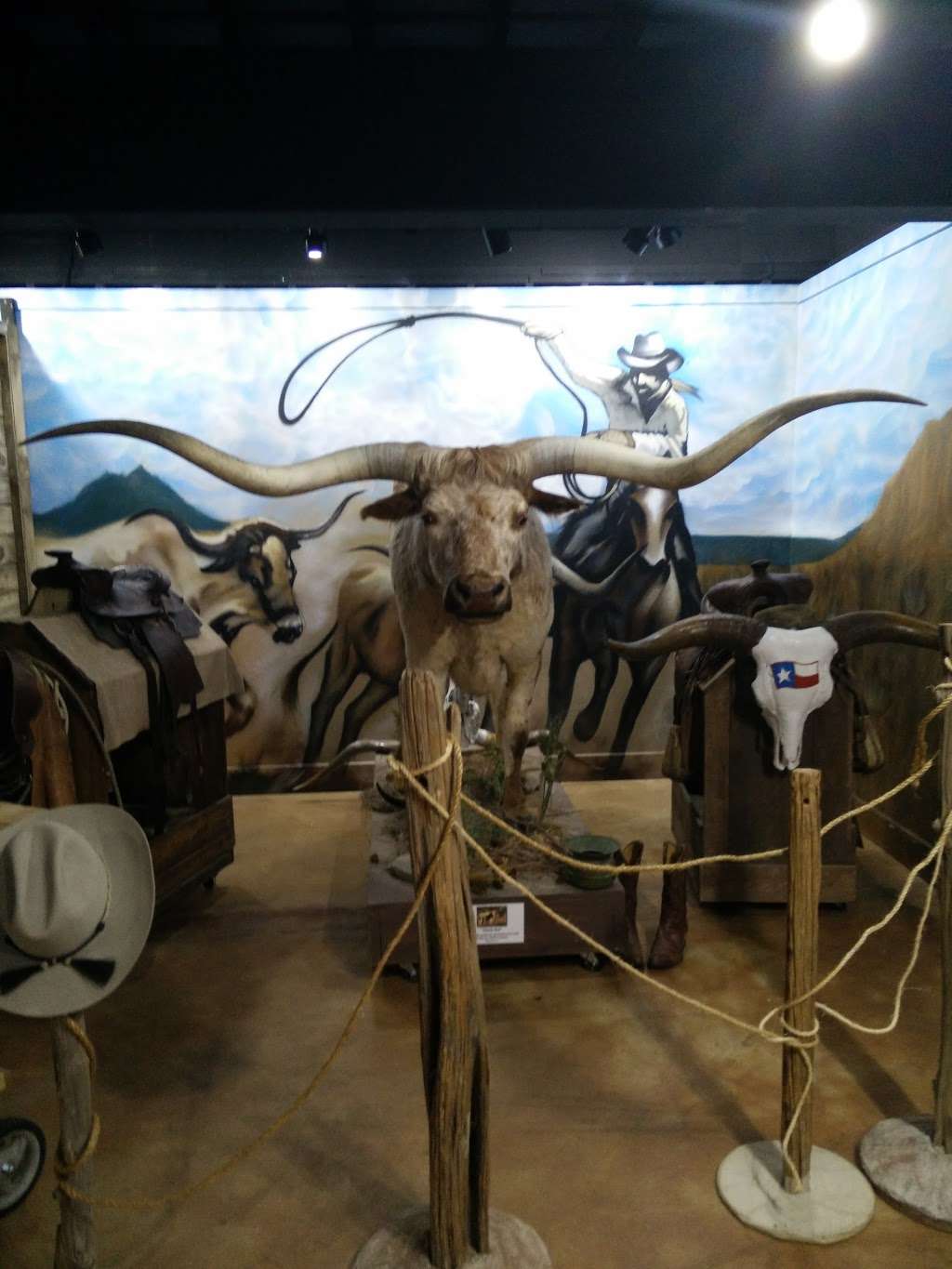 Butler Longhorn Museum | 1220 Coryell St, League City, TX 77573, USA | Phone: (281) 332-1393