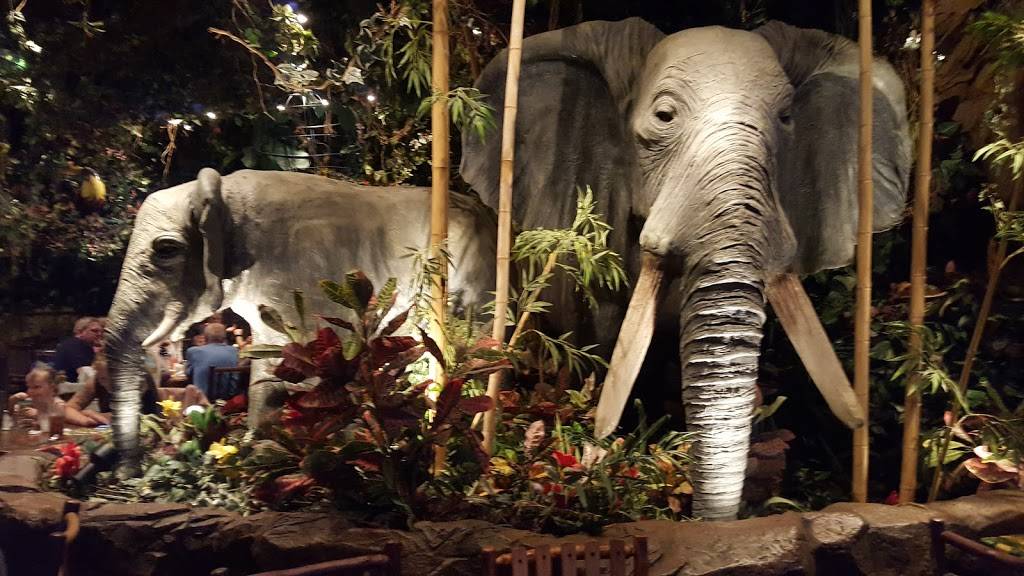 Rainforest Cafe | 1800 E Buena Vista Dr, Lake Buena Vista, FL 32830, USA | Phone: (407) 827-8500