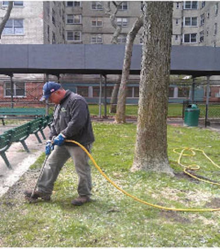 LCS Lawn and Tree Service, Inc. - St. Paul Branch | 1177 Century Ave N, Maplewood, MN 55119, USA | Phone: (651) 731-5296