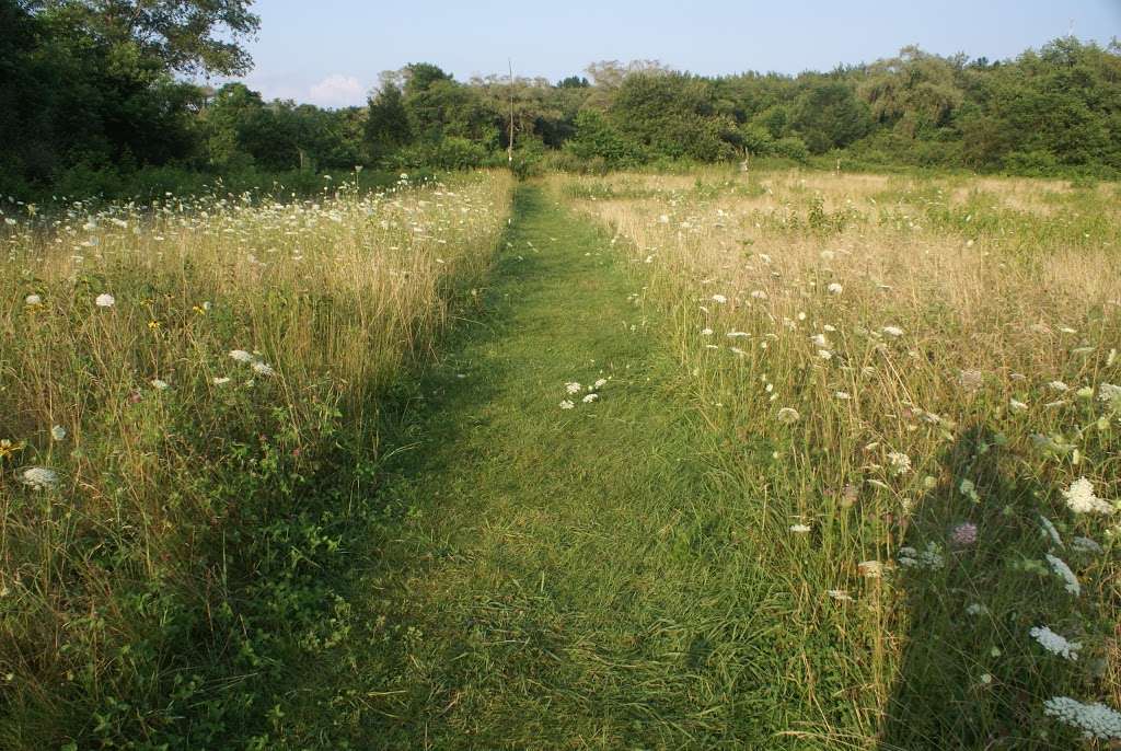 Caratunk Wildlife Refuge - Audubon Society of RI | 301 Brown Ave, Seekonk, MA 02771 | Phone: (401) 245-7500 ext. 3201