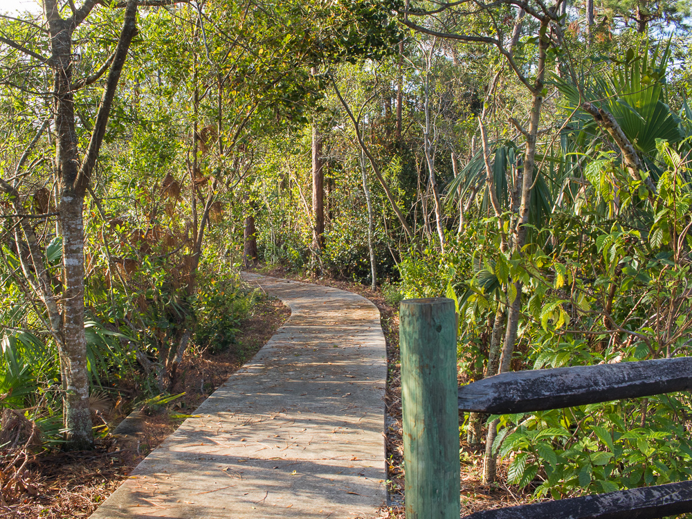 Sweetbay Natural Area | 12560 Aviation Rd, West Palm Beach, FL 33412 | Phone: (561) 233-2400