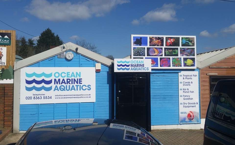 Ocean Marine Aquatics | Unit 14,, Culver Garden Centre,, Crews Hill, Enfield, Middlesex EN2 0DS, UK | Phone: 020 8363 5534