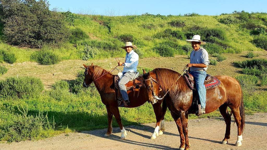 Peters Canyon Regional Park | 8548 Canyon View Ave, Orange, CA 92869, USA | Phone: (714) 973-6611