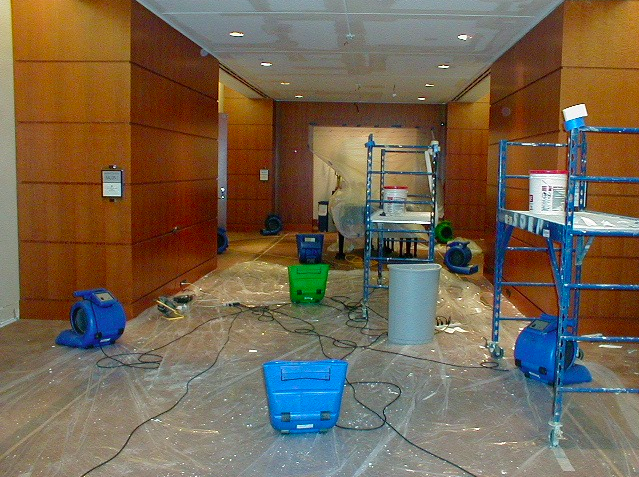 Water Damage Experts NYC | 1461 Shore Pkwy, Brooklyn, NY 11214, USA | Phone: (347) 499-3919