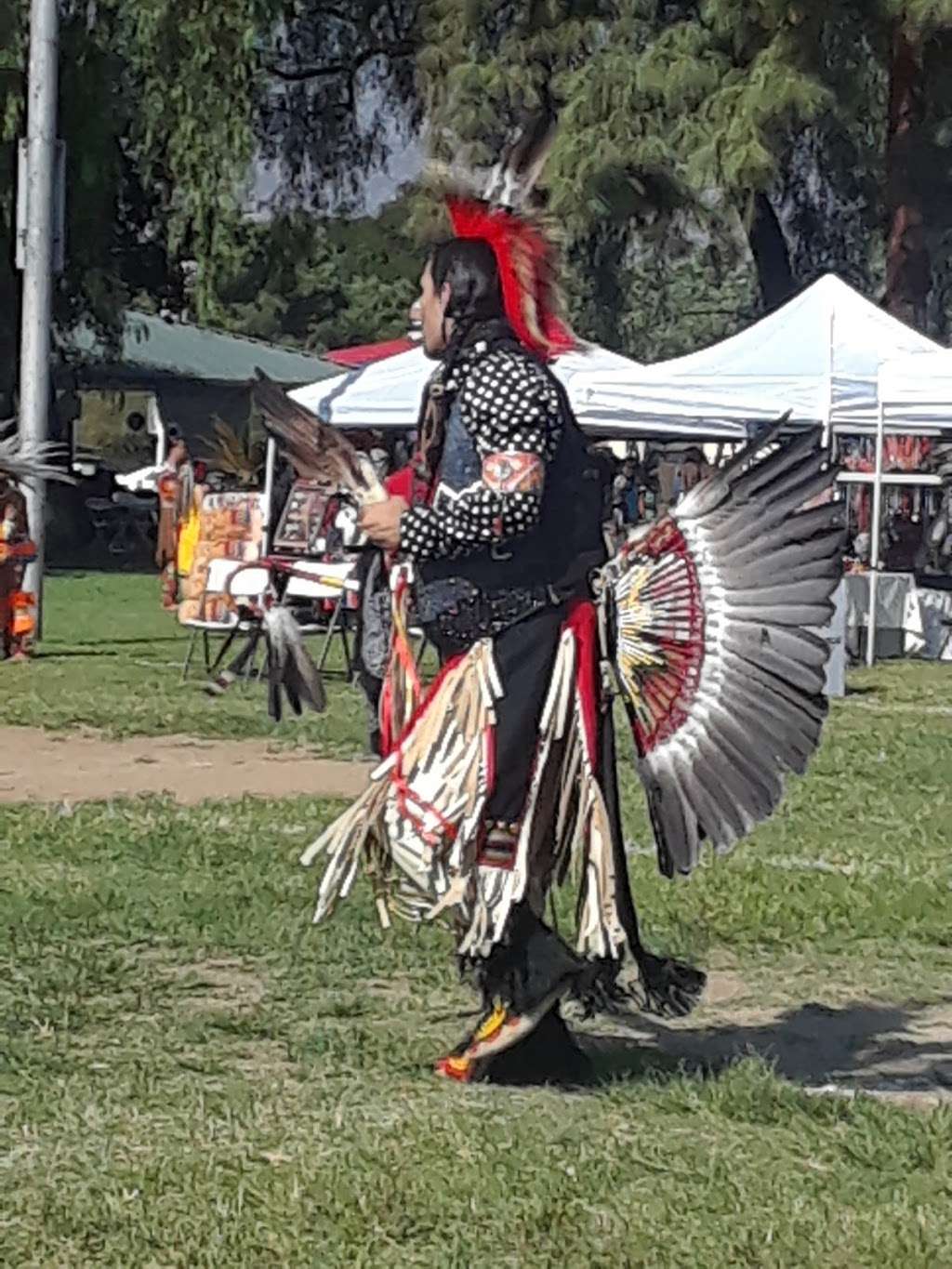 San Fernando Recreation Park | 208 Park Ave, San Fernando, CA 91340, USA | Phone: (818) 898-1290