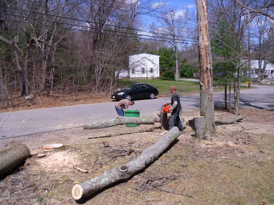 Greentech Tree Care | 41 Union St, Holbrook, MA 02343 | Phone: (781) 767-3888