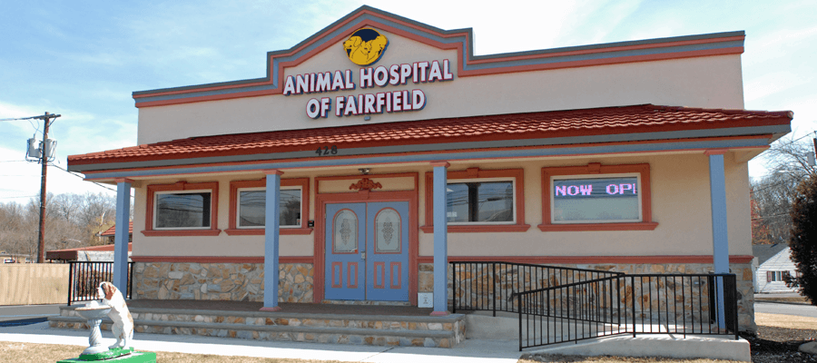Animal Hospital Of Fairfield | 428 Fairfield Rd, Fairfield, NJ 07004, USA | Phone: (973) 227-8864