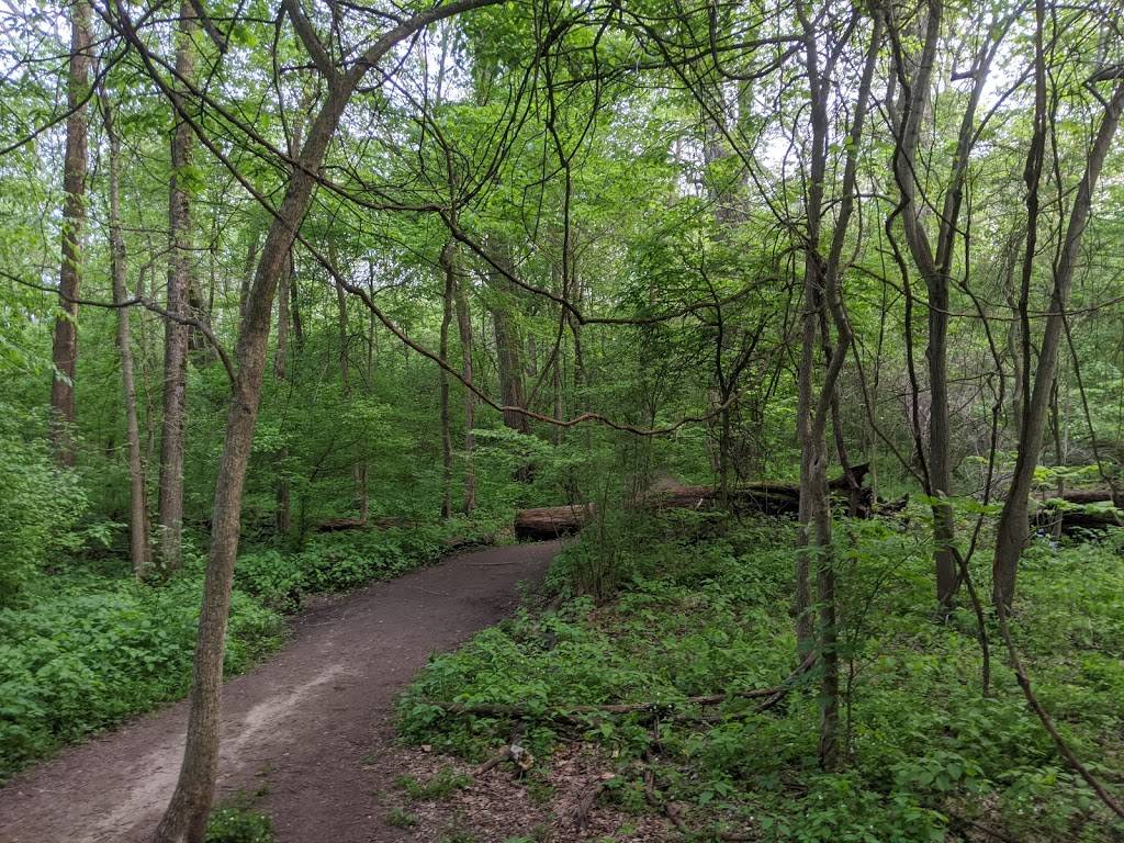 Bicentennial Woods - ACRES Land Trust - 340 E W Shoaff Rd, Huntertown ...