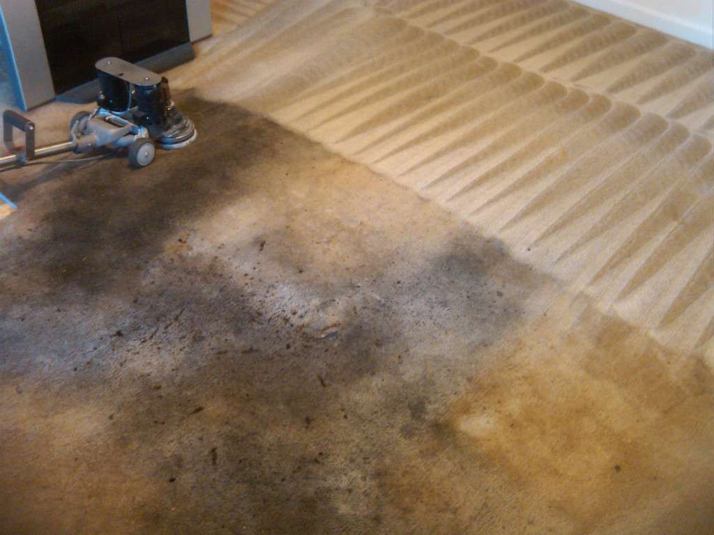 Coronados Carpet Cleaning | 595 Sixth Ave, Menlo Park, CA 94025, USA | Phone: (650) 454-9910