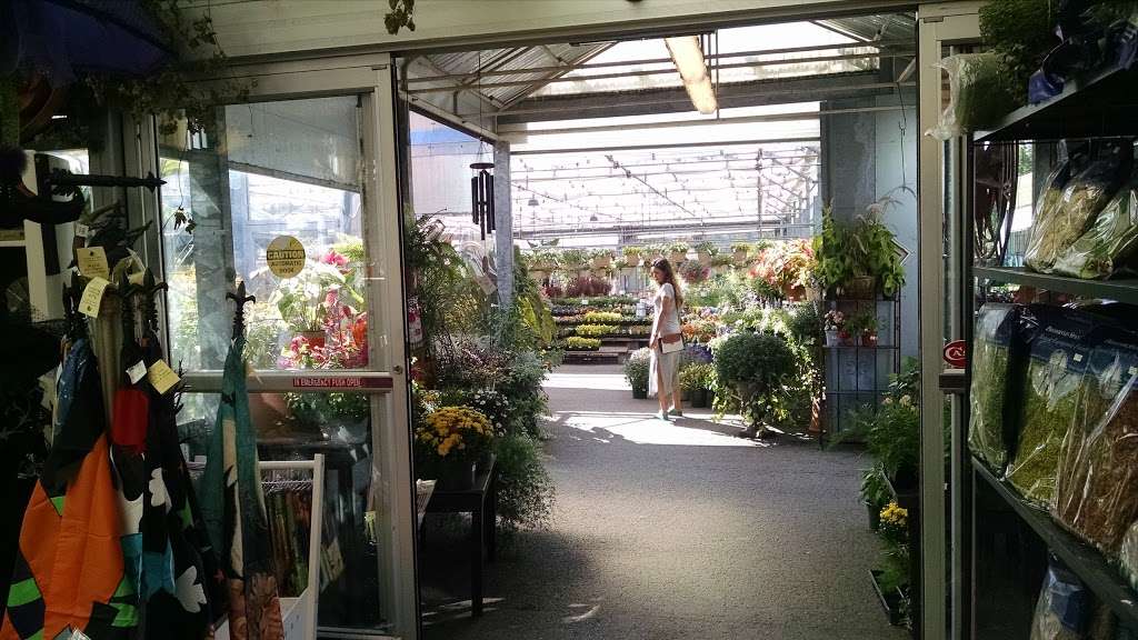 Merrifield Garden Center | 12101 Lee Hwy, Fairfax, VA 22030, USA | Phone: (703) 968-9600