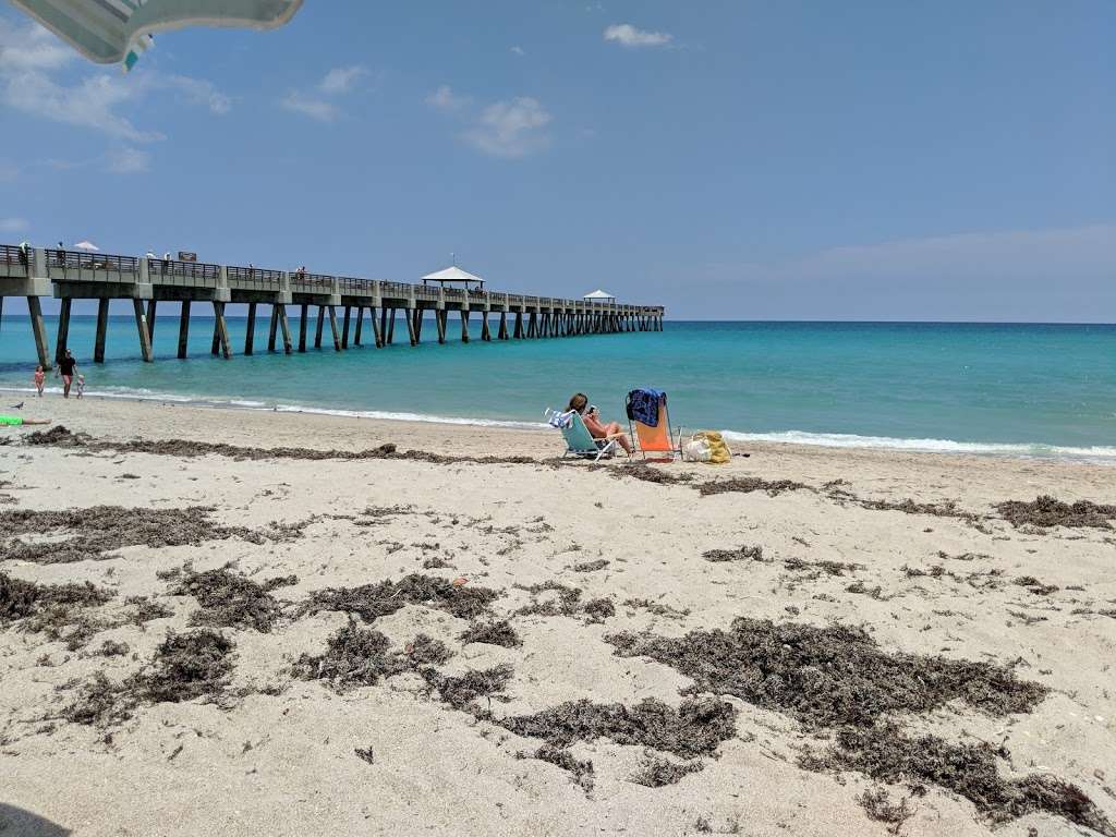 Juno Beach Park | 14775 US-1, Juno Beach, FL 33408, USA | Phone: (561) 693-9735