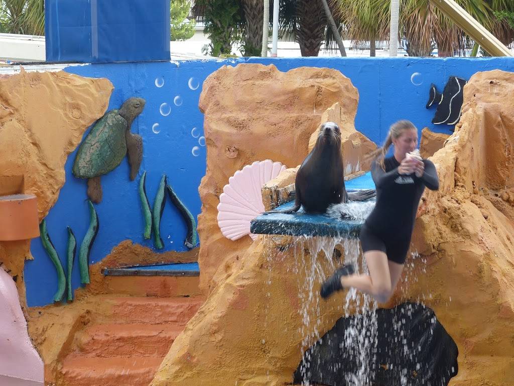 Golden Dome Sea Lion Show | Unnamed Road, Key Biscayne, FL 33149, USA