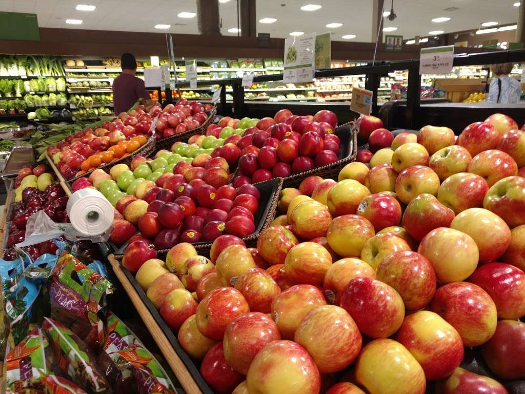 Publix Super Market at Wedgewood Square Shopping Center 1735 Heckle