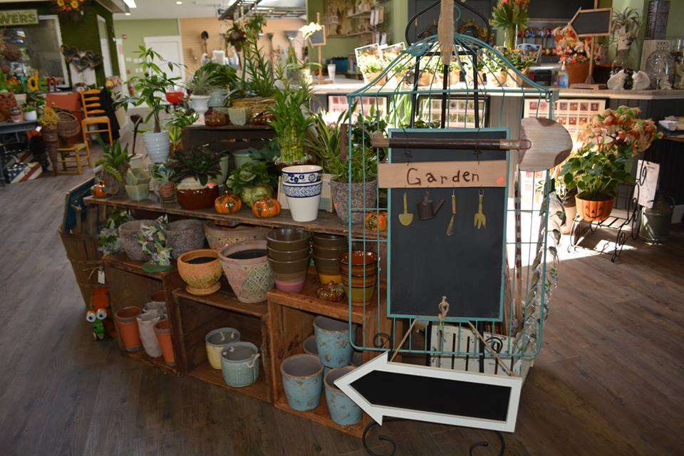 The Potting Bench | 494 Quincy Ave, Braintree, MA 02184, USA | Phone: (781) 843-7111