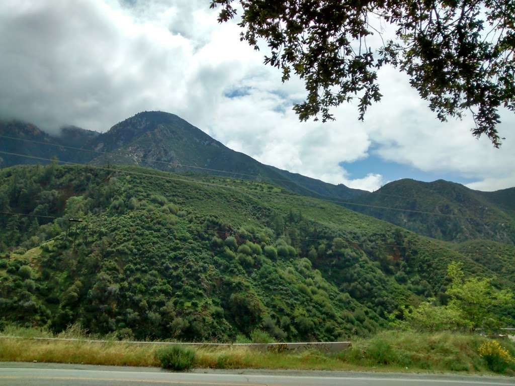 Mt. Baldy Wilderness Preserve | Angeles National Forest San Gabriel Mountains National Monument, Barrett Stoddard Truck Trail, Claremont, CA 91711, USA | Phone: (626) 815-1019