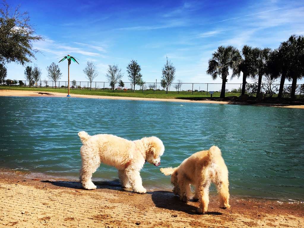 Pawm Springs Dog Park | 15300 University Blvd, Sugar Land, TX 77479, USA | Phone: (281) 275-2825