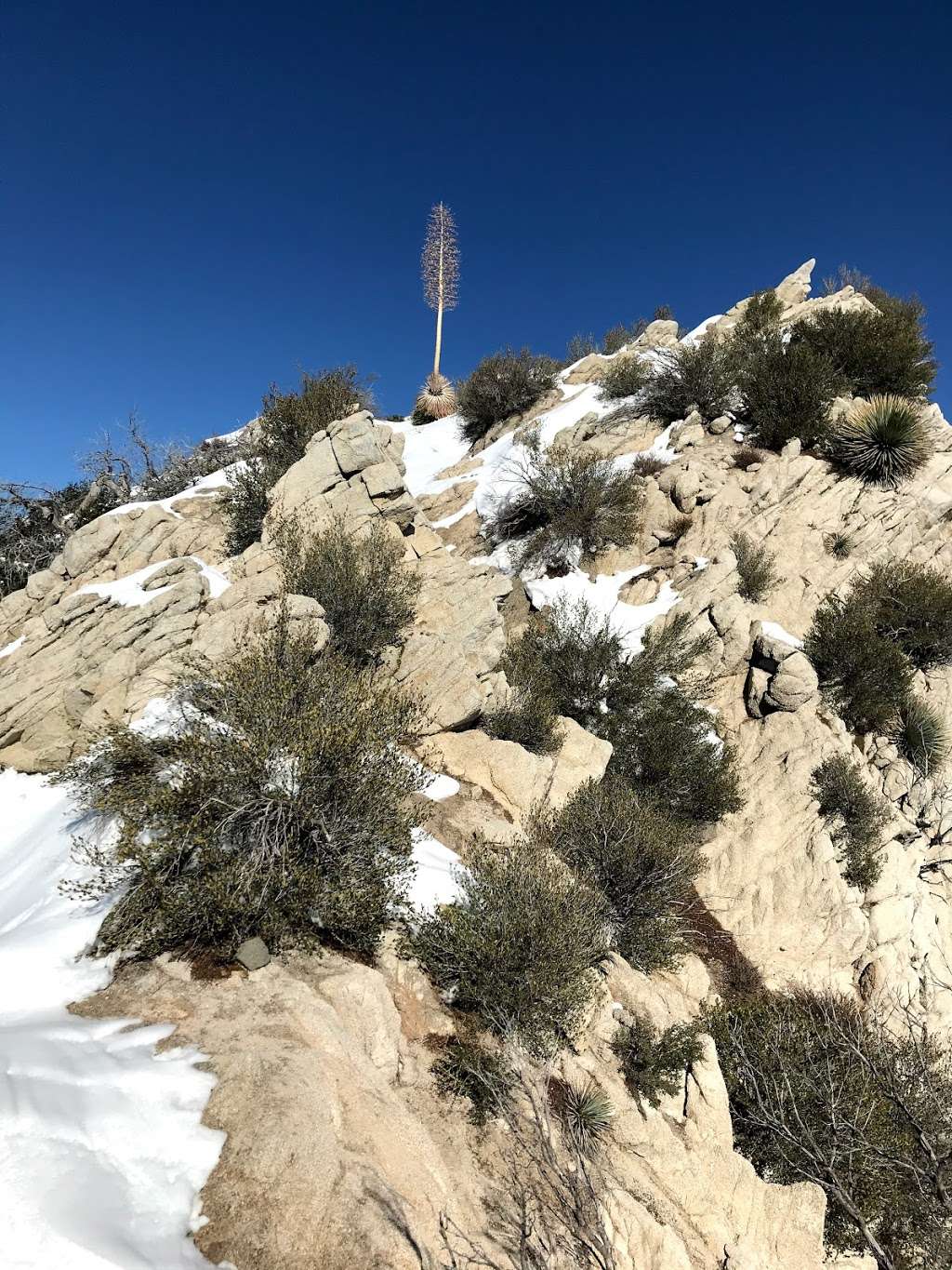 Strawberry peak west ridge trail | Colby Cyn Trail, Palmdale, CA 93550, USA