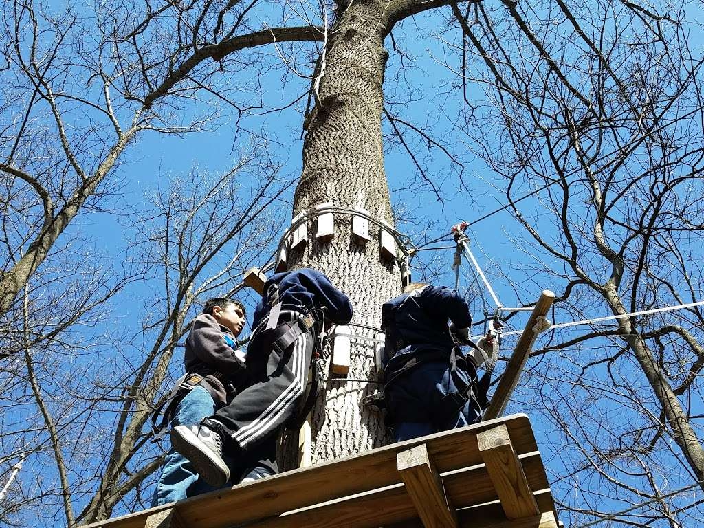 The Adventure Park at the Discovery Museum | 4450 Park Ave, Bridgeport, CT 06604, USA | Phone: (203) 690-1717