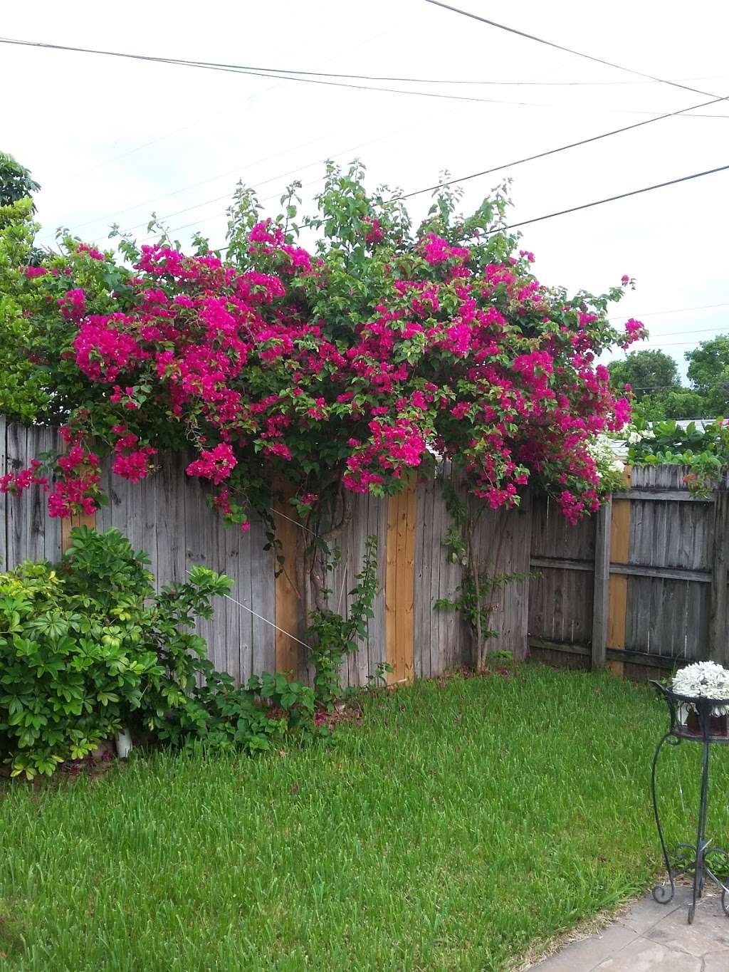 Hollywood Beach Family House | 1309 Garfield St, Hollywood, FL 33019, USA Hollywood Beach Family House | 1309 Garfield St, Hollywood, FL 33019, USA