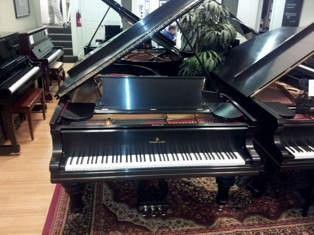 Houston Piano Expert | 911 Orrel Dr, Pasadena, TX 77503 | Phone: (832) 277-3755