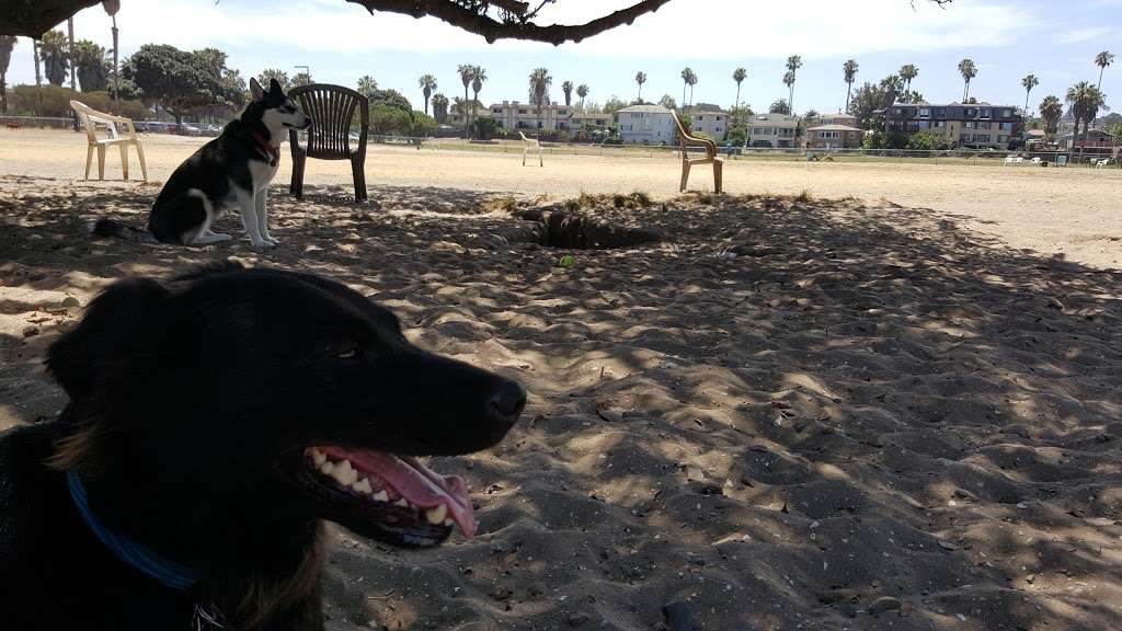 Dog Park | Soto St, San Diego, CA 92107, USA