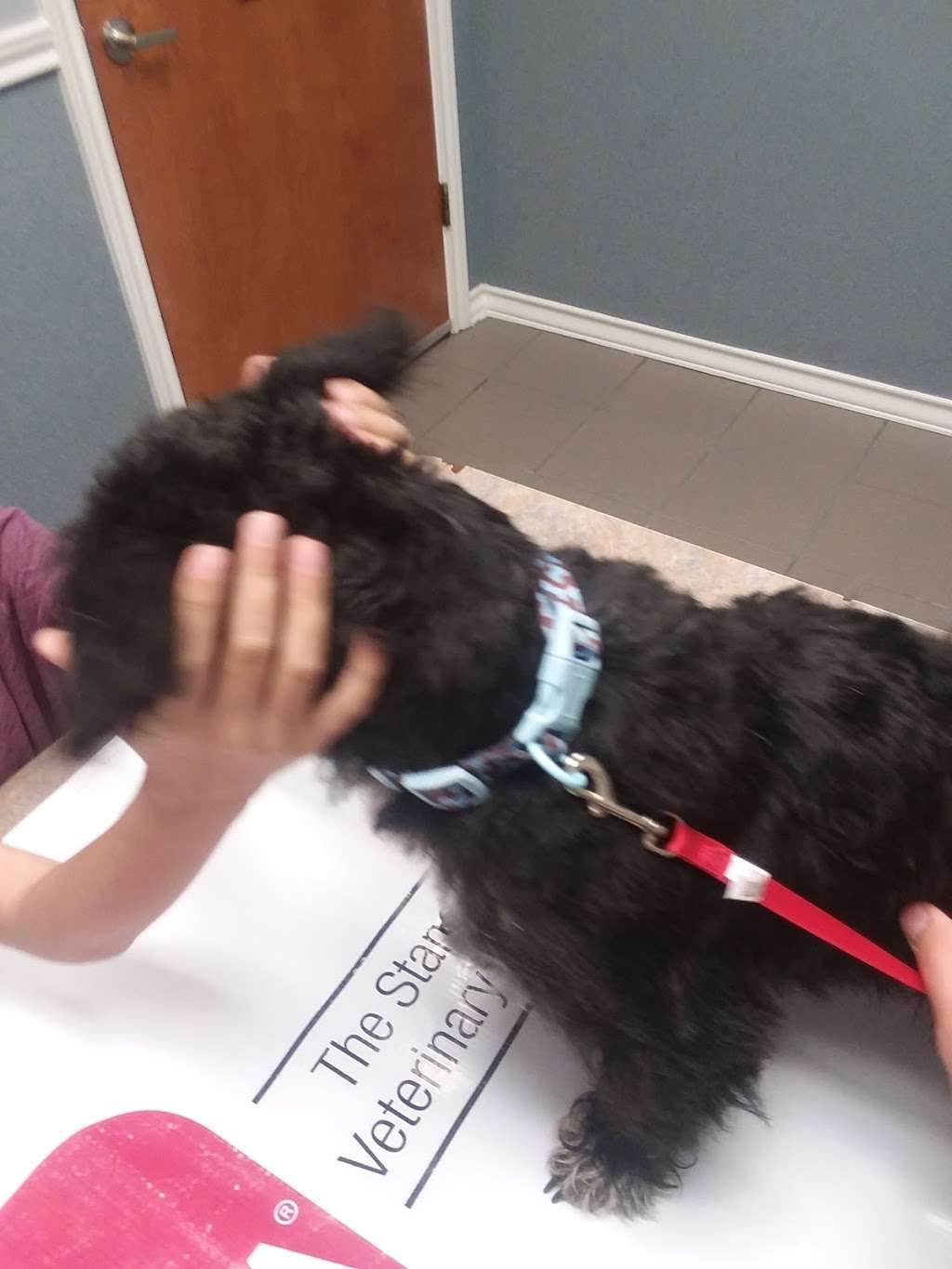 Pearland Pet Health Center | 10525 Hughes Ranch Rd, Pearland, TX 77584, USA | Phone: (713) 436-2555