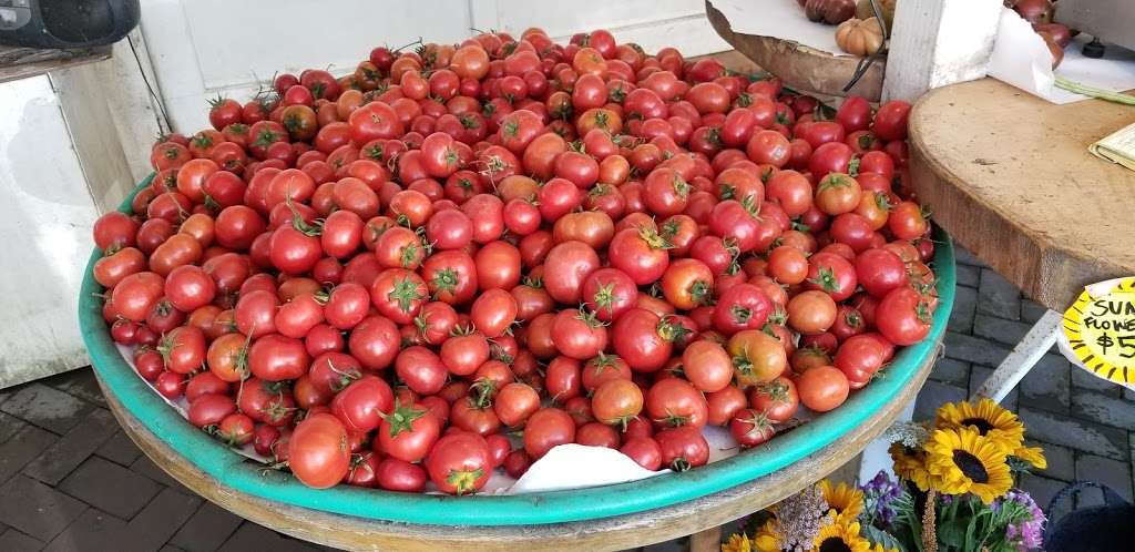 Gospel Flat Farm Stand | Bolinas, CA 94924