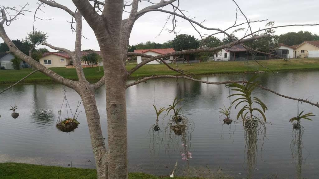 Forest Lake Park | 5700 SW 113th Ave, Cooper City, FL 33330 | Phone: (954) 434-4300