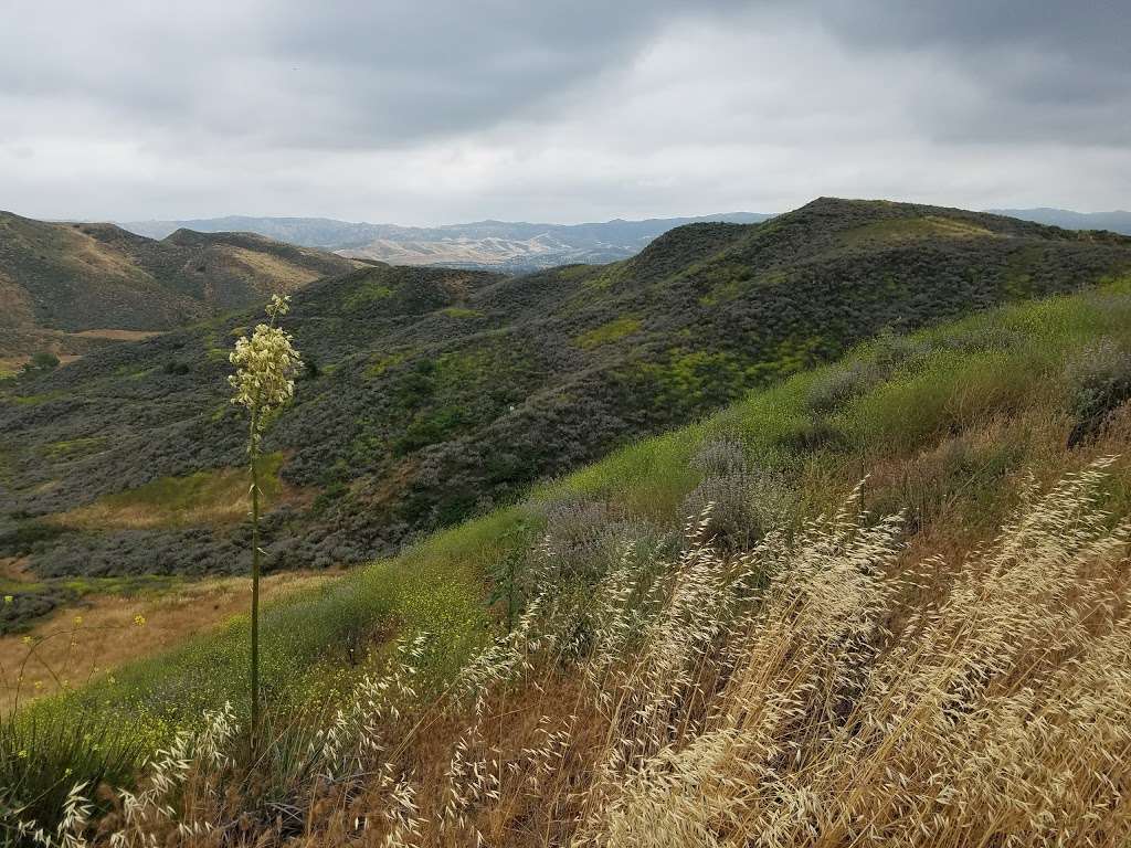 Big Sky Park | 2251 Lost Canyons Dr, Simi Valley, CA 93065, USA | Phone: (805) 584-4400