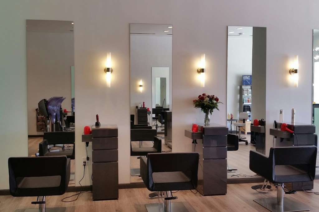 Leifs Hair Studio | 20706 Kuykendahl Rd, Spring, TX 77379, USA | Phone: (281) 288-4247