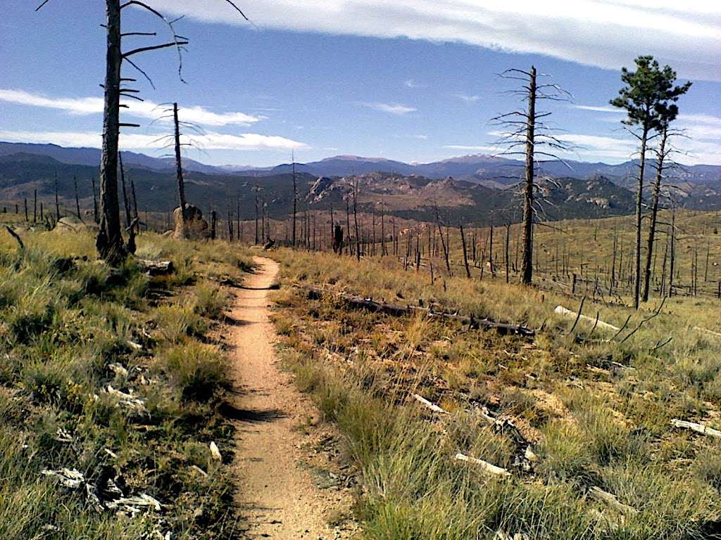 Nice Kitty Trailhead | Pine, CO 80470