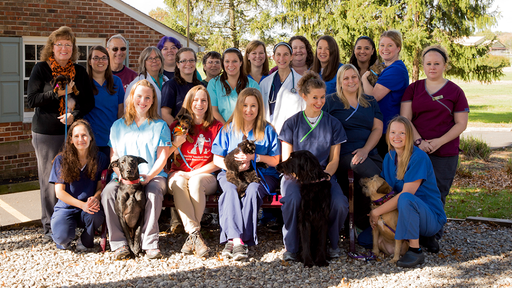 Limerick Veterinary Hospital | 345 W Ridge Pike, Royersford, PA 19468, USA | Phone: (610) 489-2848