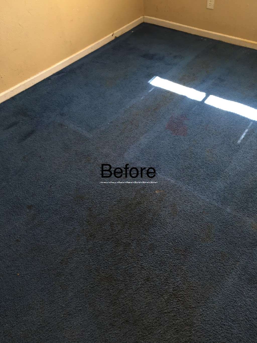 Jarvis Carpet Cleaning Service | 2315 Dorrington Dr, Dallas, TX 75228, USA | Phone: (214) 686-1025