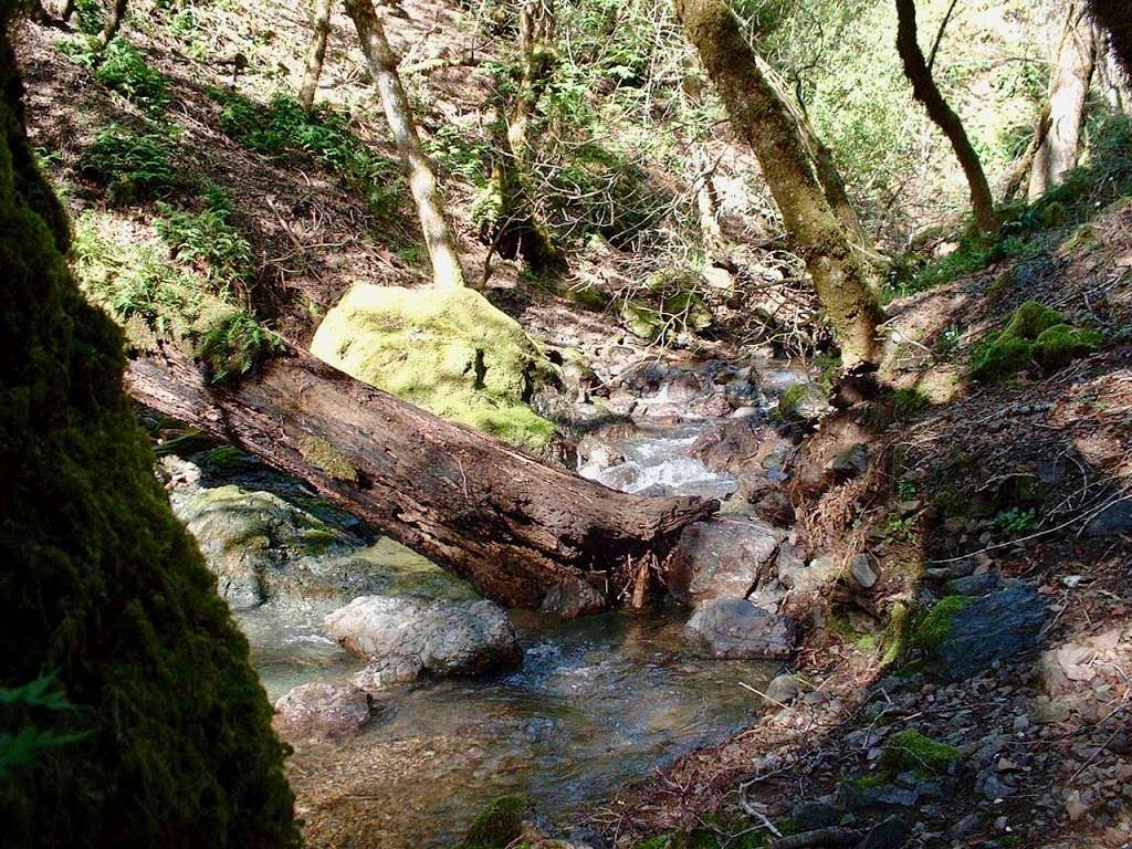 Bohemia Ecological Preserve | 6773 Bohemian Hwy, Occidental, CA 95465, USA | Phone: (707) 544-7284