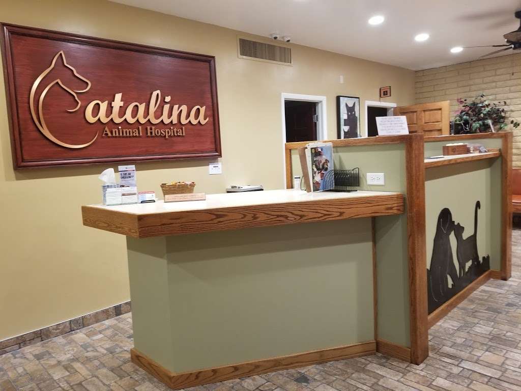 Catalina Animal Hospital | 9023 N 35th Ave, Phoenix, AZ 85051, USA | Phone: (602) 269-8969