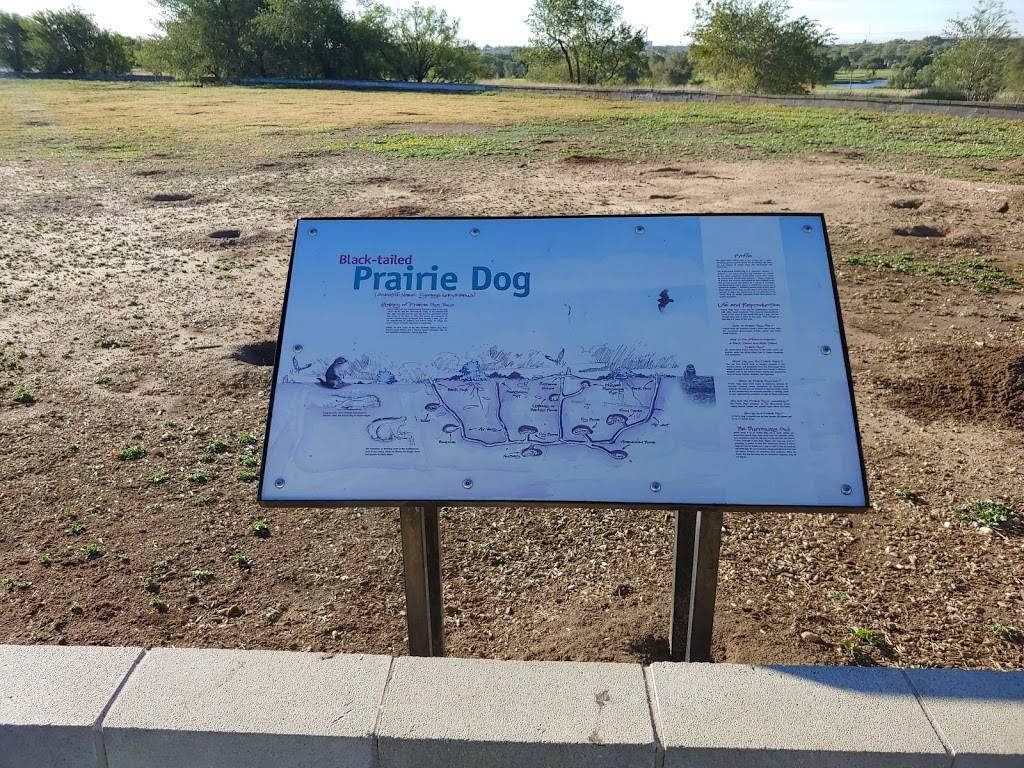 Prairie Dog Town | MacKenzie Park Rd, Lubbock, TX 79401, USA | Phone: (806) 775-2673