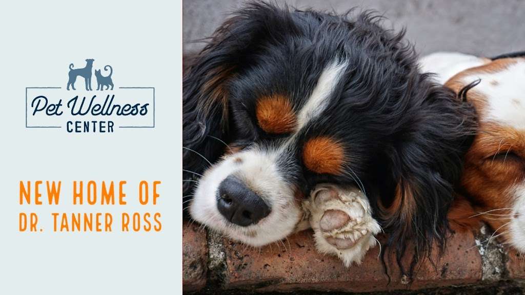 Pet Wellness Center, Clinic of Dr. Ross | 23644 Clinton Keith Rd, Murrieta, CA 92562, USA | Phone: (951) 473-2227